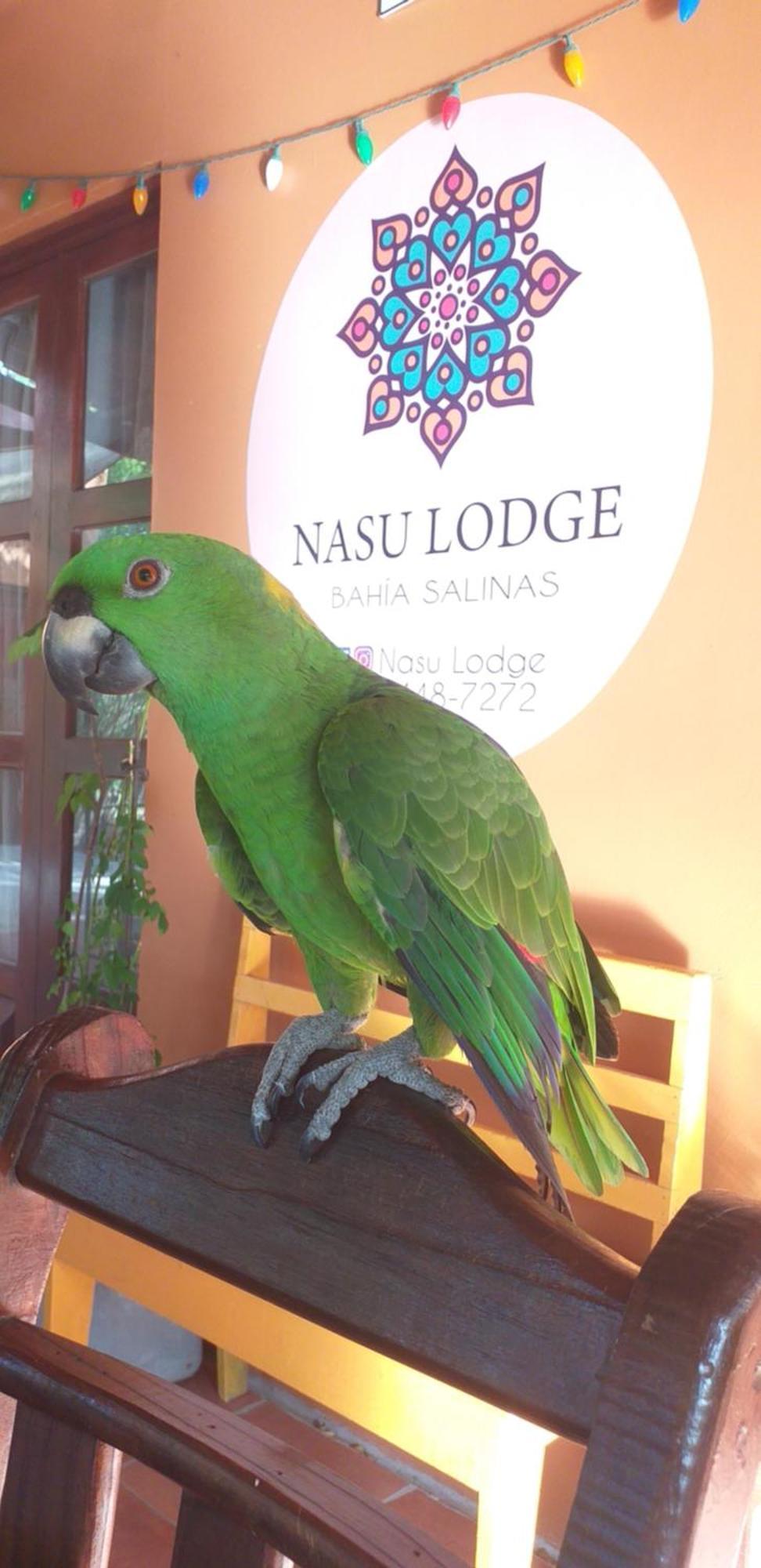 Nasu Lodge La Cruz  Esterno foto